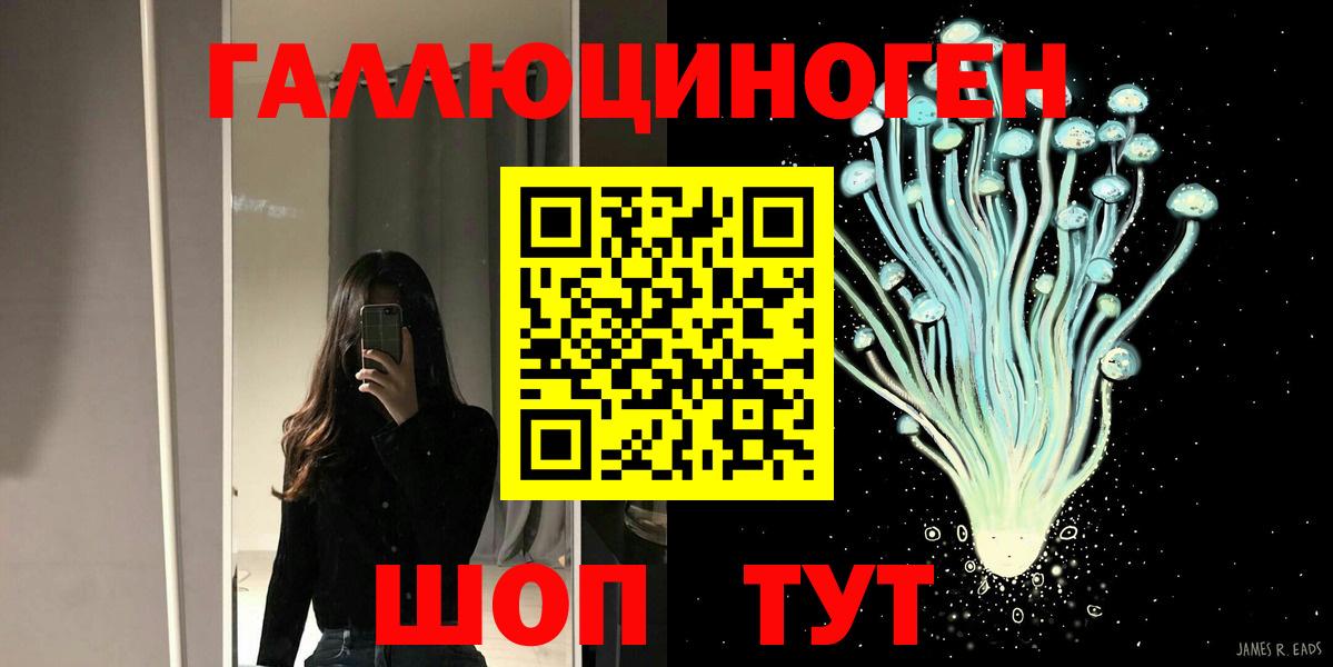 Галлюциногенные грибы Psilocybe  Вход с VPN  Новокубанск 